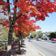 Illustration for article titled Pics from the Curbside: 2018-10-14 to Kitsilano Secondary School